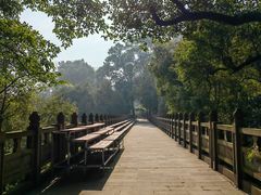 -南山植物园