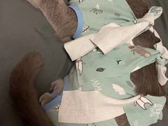 -创凡宠物医院·骨专科  猫科中心(西乡分院)