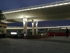 -演武大桥观景平台