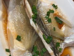 -舌尖上·霞浦滩涂海鲜·新闽菜(总店)