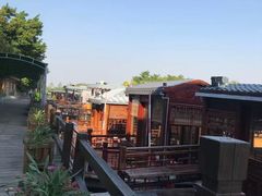 -大湾区中央湿地公园