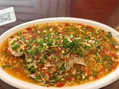 飞虹鲈鱼-飞虹鱼馆(春华路店)