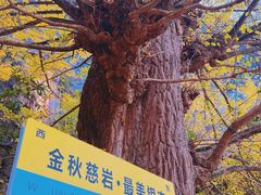 -大慈岩风景区