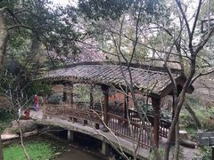 -杭州半山国家森林公园