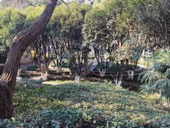 -北极阁公园