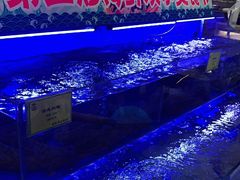 -新海渔港·胶东海鲜家常菜·家宴(奥体中心店)