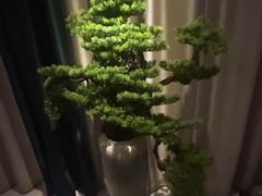 -和里合·颜愈SPA·Relax瑶浴·Massage(石厦店)