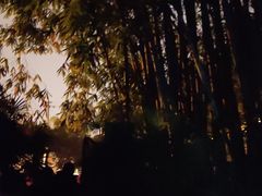 -望江楼公园