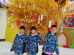 -世界之窗阿尔卑斯冰雪世界