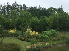 -上海长兴岛郊野公园