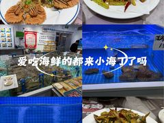 -小海丁