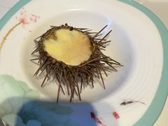 -北方饺子王·海鲜大咖·本地菜