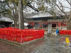 -红螺寺