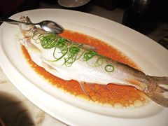 -绿茶餐厅(华发商都店)