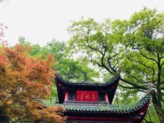 -岳麓山风景名胜区