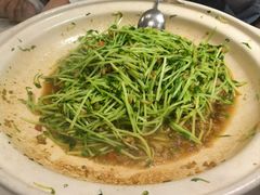 -刘胖子家常菜·蹄花焖藕(中南店)