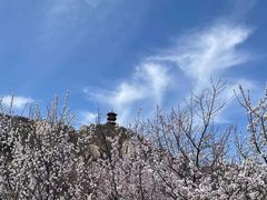 -北京凤凰岭