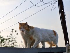 -前叁門