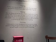 -星巴克(真如星光耀广场店)