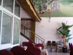 -金塔傣乡·云南民族特色菜·傣味手抓饭(金瓦路店)