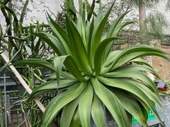 -南山植物园