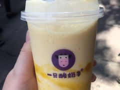 -一只酸奶牛(八一路店)