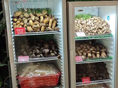 -太婆天府山珍酒楼(亚运村店)