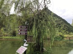 -靖西鹅泉风景区