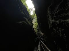 -武陵山森林公园