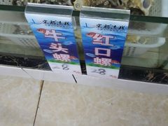-宋船渔栈(白沙店)