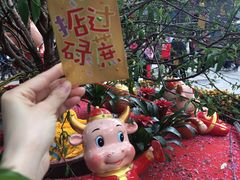 -荔湾湖公园