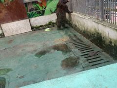 -祥源·阜阳生态乐园