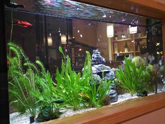 -悦和餐厅(CBD玉米楼店)