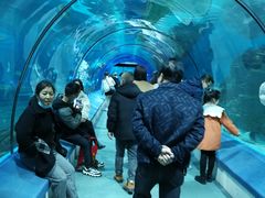 -福州罗源湾海洋世界旅游区