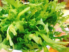茼蒿-成都玉林串串香火锅(三八店)