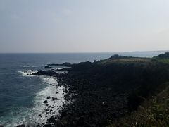 -涉地可支