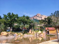 -阳坊大都涮羊肉(阳坊总店)