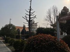 -洛阳白马寺