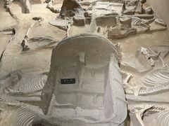 -洛阳周王城天子驾六博物馆