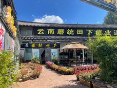 -蘑统田下·野生菌火锅