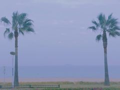 -椰风寨