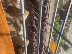 -南山民肴·乡土徽菜(豪辰俪景店)