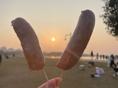 -瑶湖郊野森林公园