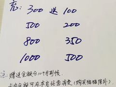 -猫宠乐园·专业洗护