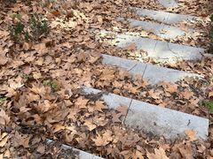 -张之洞与武汉博物馆