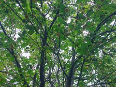 -成都中医药大学(温江校区)