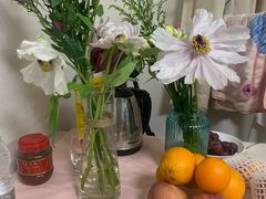 -双季花艺园艺市场(浦东店)