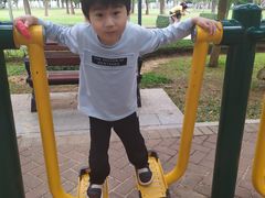 -万绿园