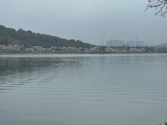 -羊山湖公园