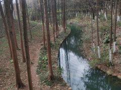 -新洲生态园